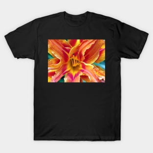 Flower Close Up Orange Lily Bloom Art, Floral Home Decor, Gifts & More! T-Shirt